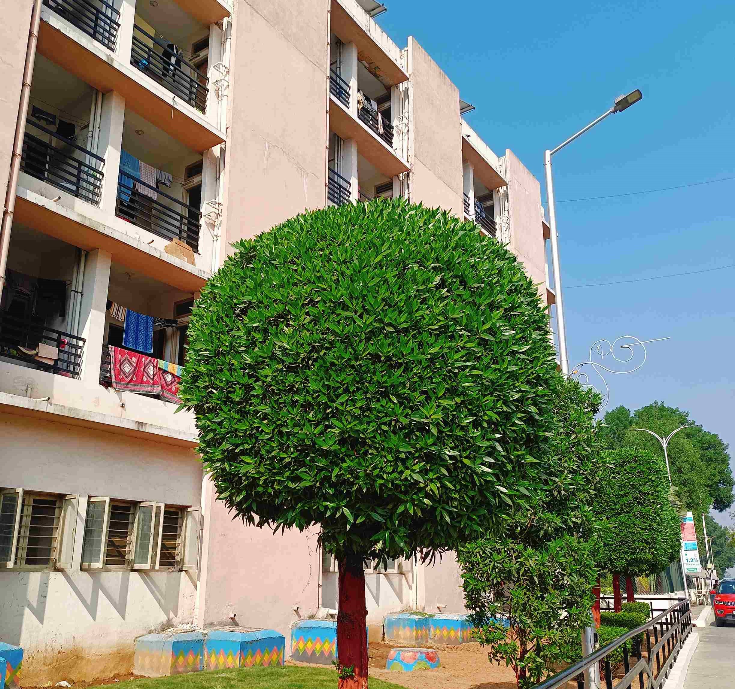 Parul University Hostel photo 18